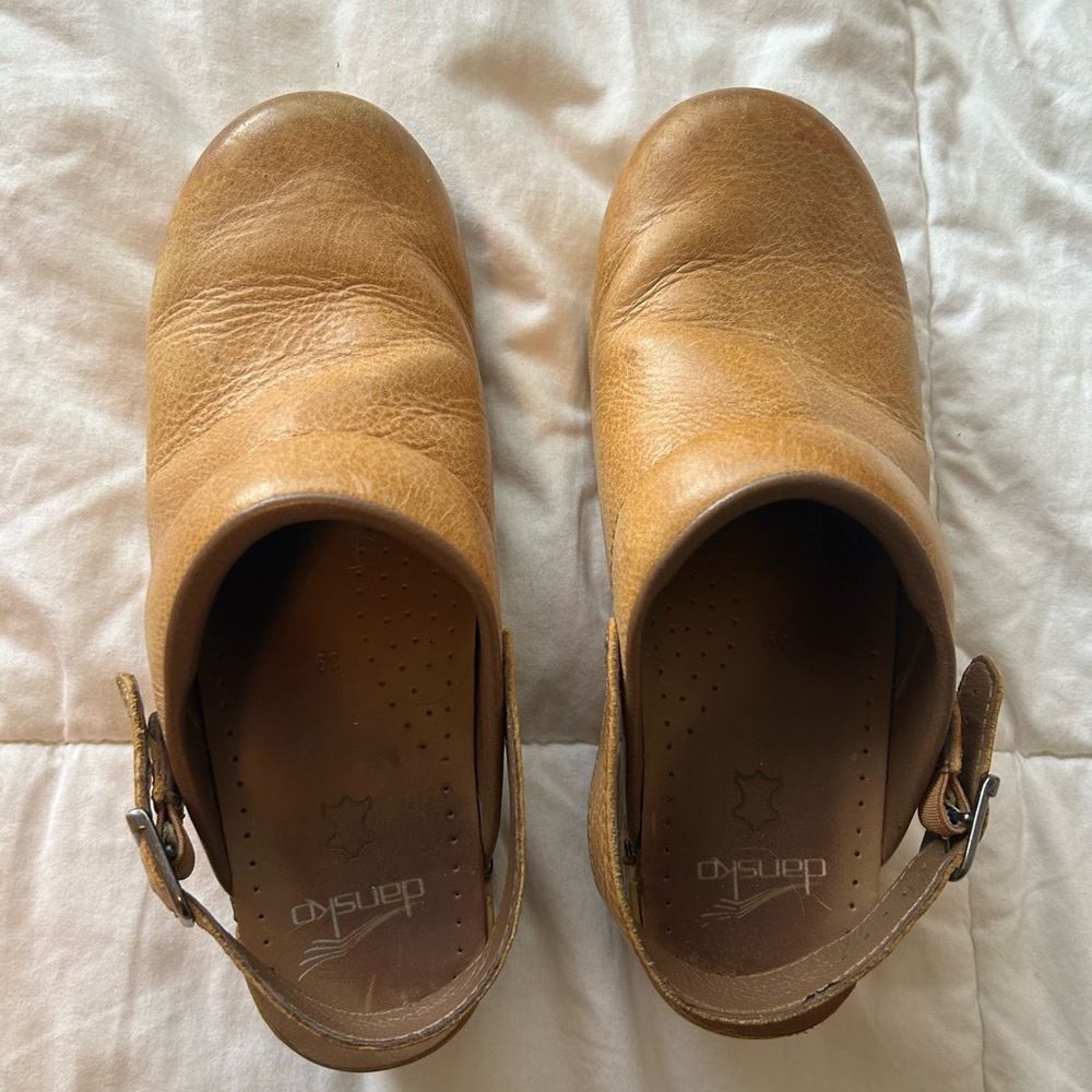 Dansko Clogs
